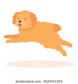 Joyful toy poodle jumping in the air with its tongue out