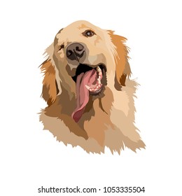 Joyous Labrador Retriever vector
