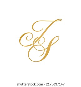 JS initial logo design vector stock