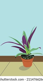 Juda in bed plant with background