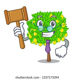 Judge lemon tree in the pot character