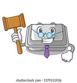 Judge plastic box in the character closet