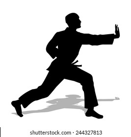 Judo Silhouette On A White Background