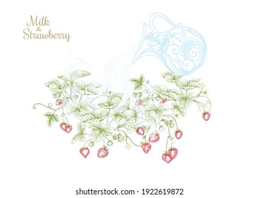 Jug of milk and strawberries. Clip art, elements for design. Graphic drawing, engraving style. Vector illustration.