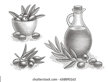 Jug of olive oil decorated with olive branch, plate of olives, olive branch. Hand drawn engraving style illustrations.