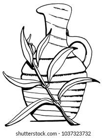 Jug, small pottery jug with olive branch leaning at the front. Italian gr Greek style for food or menu. Pen drawing. Vector single isolated.