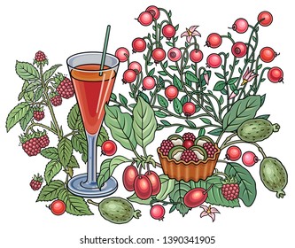 Juice, berries, sweets hand drawn vector doodles illustration. Nature and food elements and objects cartoon background. Bright colors funny picture