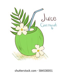 Juice. Coconut. Sketch
