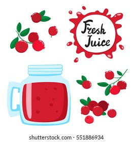Juice with cranberries in a glass glass, vector cartoon card with fresh berries and smoothie isolated on white. Red juice splashes drops.