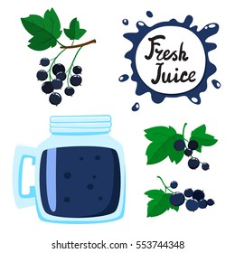 Juice with currants in a glass bank, vector cartoon card with fresh berries and smothie isolated on white. Dark blue juice splashes drops.