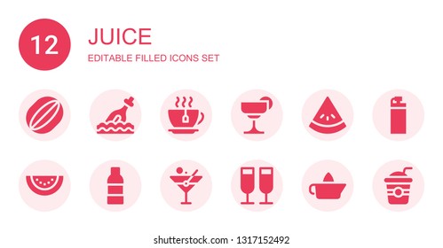juice icon set. Collection of 12 filled juice icons included Watermelon, Bottle, Tea, Cocktail, Water bottle, Martini, Toast, Citrus juicer, Straw