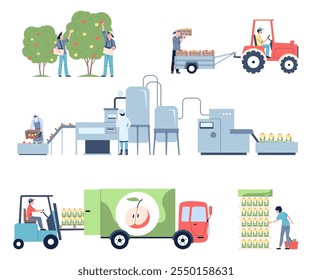 Juice production process. Farmers harvest apples from trees, transportation on food factory. Fresh drink making on manufacture, recent vector scenes