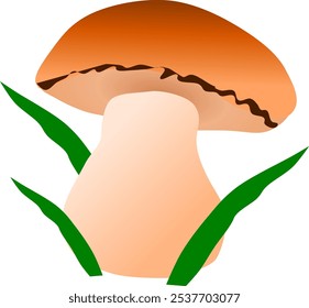 Juicy and beautiful brown porcini mushroom, with green grass