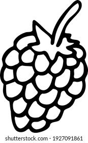 Juicy berry of forest raspberry. Delicious and healthy organic food. Cute summer berry. Cartoon illustration for kids. Vector clipart in theme of wildlife. Black and white outline doodle.