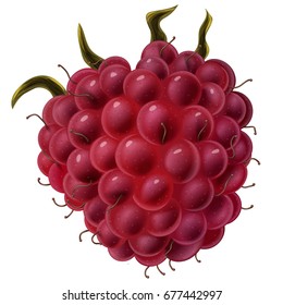 Juicy berry of raspberries on an empty background