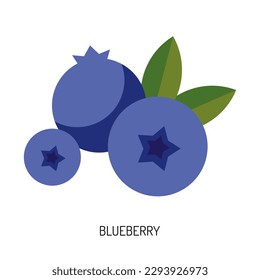 Juicy blueberry berry isolated on a white background. Vector illustration of berries for design