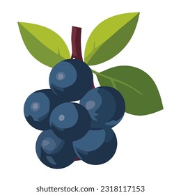 Juicy blueberry bunch, a symbol of refreshment icon isolated