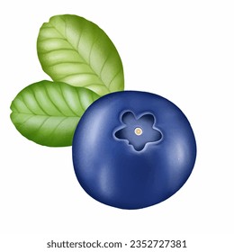 Juicy blueberry hand drawn with green leaves isolated on white background. berry for creating designs and patterns, promotional creatives, menus and packaging.