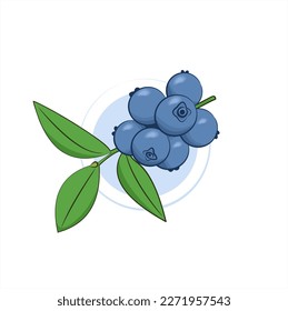 Juicy blueberry. Isolated blueberry with leaves. A few blueberry berries. Berries. Vector. 