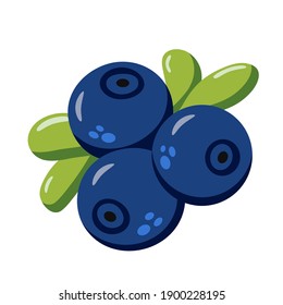 Juicy blueberry vector flat illustration icon for vegan, organic menu. Vector summer elements for cards, banners, posters, mug, scrapbooking, pillow case, phone cases and clothes design. 