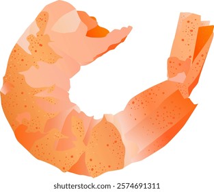 Juicy boiled king prawn vector