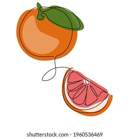 Juicy bright grapefruit. Vector image. A bright piece of summer in the interior of the kitchen, the design of paintings and the interior of the rooms.