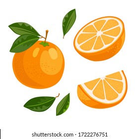 Juicy bright orange set. Whole fruit with green leaf, half cut, slice. Vector illustration for organic product, fresh citrus, raw food diet concept