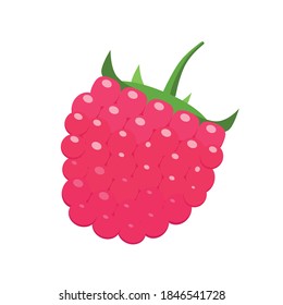 Juicy bright raspberry isolated on white background. Vector flat design tasty icon illustration. Symbol of healthy eating.