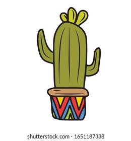 Juicy cactus.Vector illustration on a white isolated background.Botanical design for postcards and banners.Nature