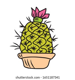 Juicy cactus.Vector illustration on a white isolated background.Botanical design for postcards and banners.Nature
