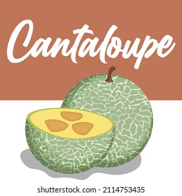 juicy cantaloupe vector illustration with section, beautiful square background design