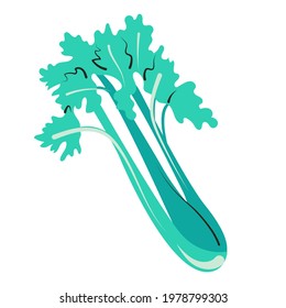 Juicy celery isolated vector illustration. Farm greens