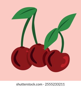 Juicy cherry fruits. cherries on a branch. Vector image.