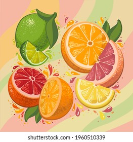
juicy citrus slices vector graphics