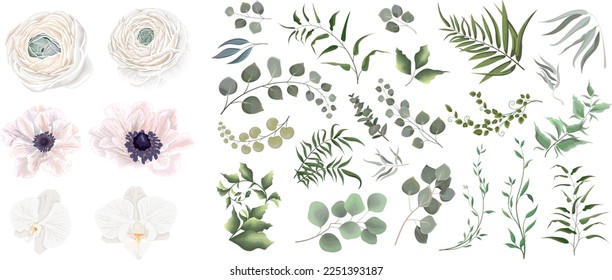 Juicy eucalyptus, green plants and leaves. A large vector collection of flowers and plants. White mix of flowers, anemones, roses, orchids, ranunculus. All elements are isolated 