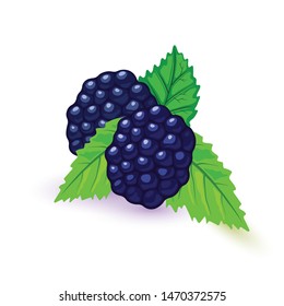 Juicy and fresh blackberry with green leaves. Sweet black raspberry. Garden fruit using for cooking desserts, crumbles, jellies, jams, pies, wine. Cartoon icon isolated on white background.