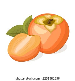 Juicy fresh colorful persimmon isolated on white background. Tropical fruits.Vector illustration