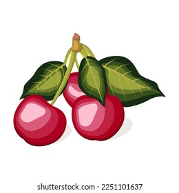 Juicy fresh colorful sweet cherries isolated on white background. Tropical fruits.Vector illustration