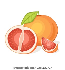 saftige frische Pampelmuse einzeln auf weißem Hintergrund. Tropische Früchte.Vektorgrafik