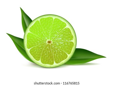 Juicy fresh half of lime with leaves