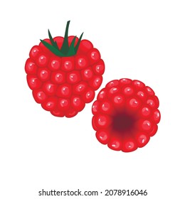 Juicy fresh raspberry fruit  in  realistic style.Icon with a berry in two angles.Botanical design elements isolated on white background.Vector illustration. 
