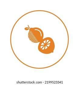 Juicy fruit lemon lime icon | Circle version icon |
