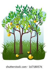 Juicy fruits in the apple garden. Illustration with apple garden. Vector elements are grouped.