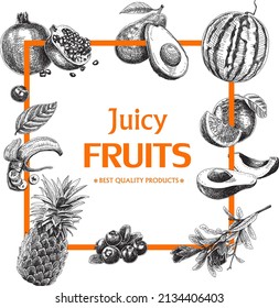 Frutas jugosas. Ilustración de vector esquemática dibujada a mano.	
