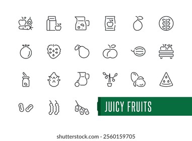 Juicy fruits icon set. Icon apple, tropical, lemon, health, pineapple, plum, fruits, raspberry. Minimalist outline symbol collection. Vector illustration in modern line style.