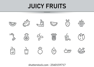 Juicy fruits icon set. Icon apple, tropical, lemon, health, pineapple, plum, fruits, raspberry. Minimalist outline symbol collection. Vector illustration in modern line style.