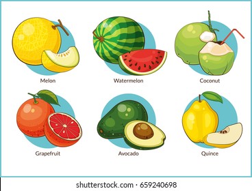 Juicy fruits. Vector illustration