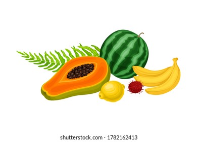 Juicy Fruits with Watermelon and Banana with Palm Leaves Hawaiian Vector Composition
