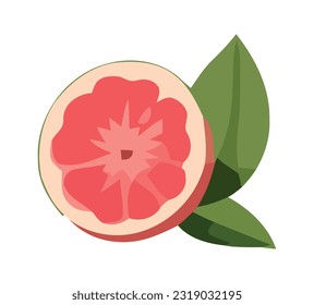 Juicy grapefruit slice, symbol of freshness icon isolated