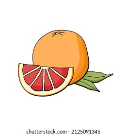 Juicy grapefruit with slices and green leaf. Graphic Print for Product Packaging related to Perfumery, Soaps, Cosmetics, Herbal Medicine, Aromatherapy Essential Oils. Isolated on white background